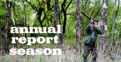 Graphic Design: Annual Report Season