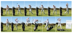 Logical Golf Academy: Bag, Knee, Tree
