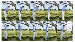Logical Golf Academy: Tree