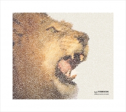 Videocon Televisions: Lion