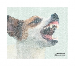 Videocon Televisions: Dog
