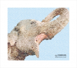 Videocon Televisions: Elephant