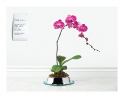 Greengate Garden Centres: Solstice Sale
