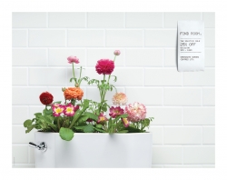 Greengate Garden Centres: Solstice Sale
