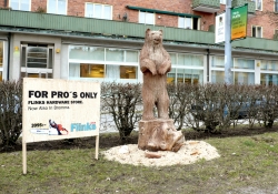 Flinks Järn: Bear
