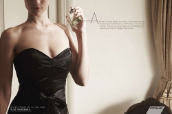 Secret Diary of a Call Girl: Perfume, Handbag & Watch