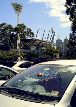 Vegemite: Cricket Ball