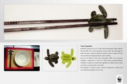 WWF Turtle Conservation Program: Chopsticks