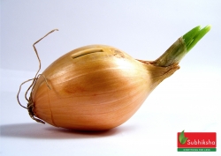 Subhiksha Retail Supermarket: Onion