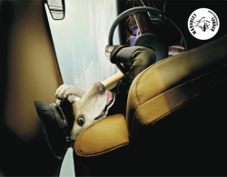 Dog Training School: Butler, Driver
