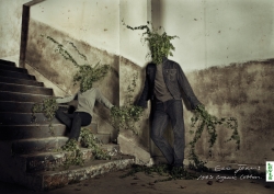 Levi's Jeans: Levi's Eco Jeans Campaign