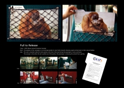 Animal Protection: pull to release