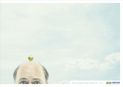 crestor: Apple