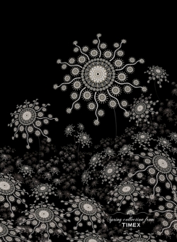 Timex: Flower