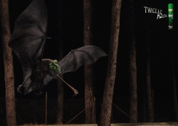 Shock FX: Batchameleon