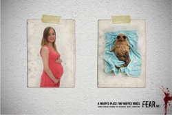 FEARnet: Pregnant