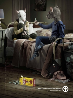 Public Awareness: Rats