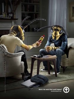 Public Awareness: Wasps
