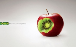 Polident Denture Care:  Apple