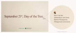 Day of the Tree: Seed