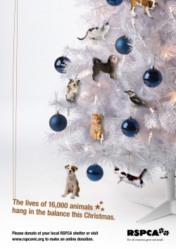 Christmas Appeal 2008: Hanging by a thread