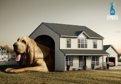 Febreze: Doghouse