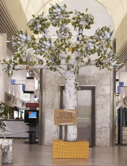 Transperth: Tree