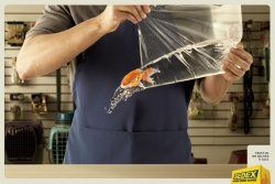 Sedex Express Courier Service:  Fish