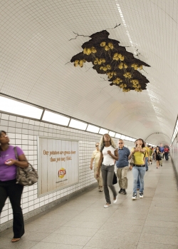 Lay's Potato Chips: Grown Closer Than You Think