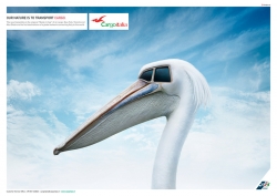 CARGOITALIA: AIR PELICAN