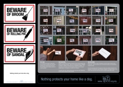 SPCA (Society for the Prevention of Cruelty to Animals): Beware