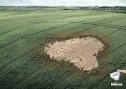 Huggies: field