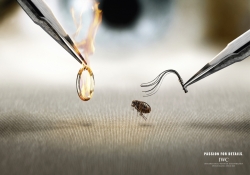 IWC Watch Company: Flea