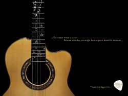 Manzer Handcrafted Guitars: Case