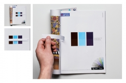 Color System: Colors