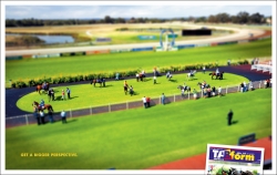 TAB: Thoroughbred