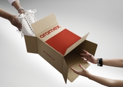 Aramex: Ice Skates