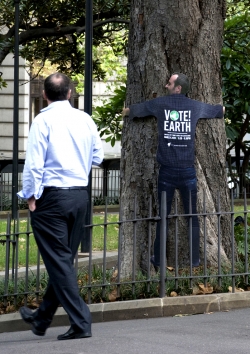 SBS: Tree Huggers