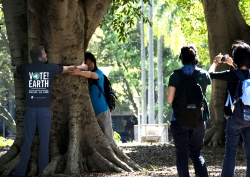 SBS: Tree Huggers 3
