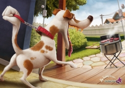 Coaching-Canin: Barbecue