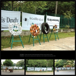 Dengue Awareness: Wreaths