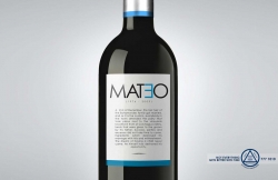 Alcoholics Anonymous: mateo