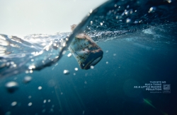 Surfrider: CAN