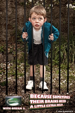 John West with Omega 3: Railings