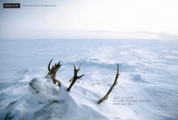 Neenah Paper: Full Life - Reindeer