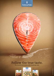 Fish & More: Followfish: Locator Salmon