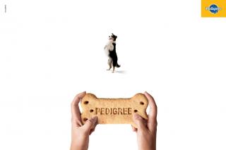 Pedigree: Gamepad, 1