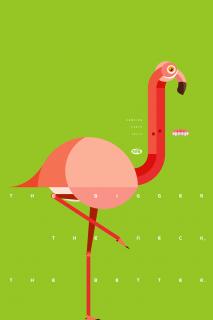 FINI: Flamingo