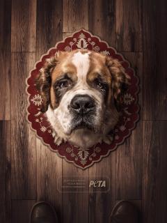 PETA (People for the Ethical Treatment of Animals): PETA Trophies - Saint Bernard