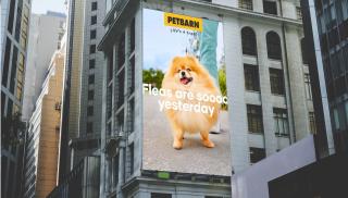 PETBARN: OOH 1